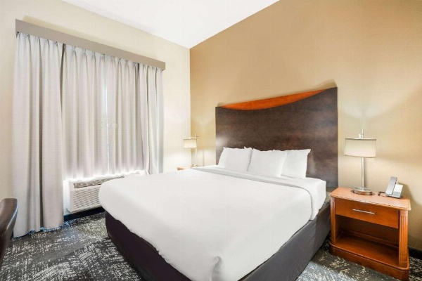 Comfort Suites Columbia at Harbison image 8
